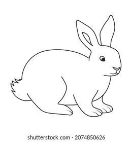 Rabbit vector icon.Outline vector icon isolated on white background rabbit.