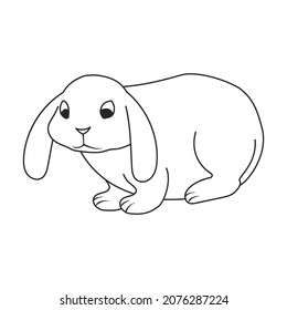 Rabbit vector icon.Outline vector icon isolated on white background rabbit.
