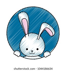 rabbit vector illustration