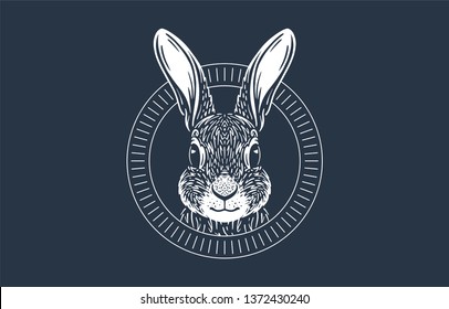 Rabbit Vector Illustration
