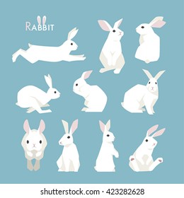 rabbit vector illustration