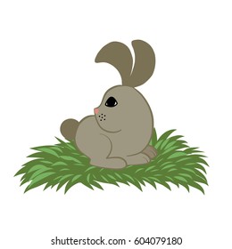 Rabbit, vector illustration