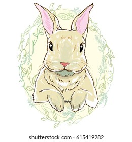 rabbit - vector, illustration
