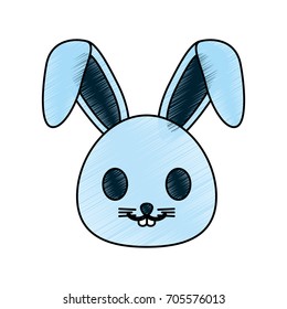 rabbit vector illustration