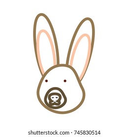 rabbit vector illustration