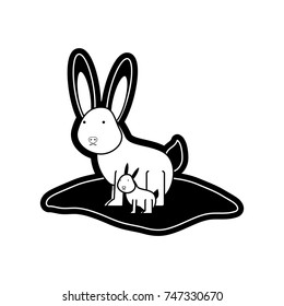 rabbit vector illustration