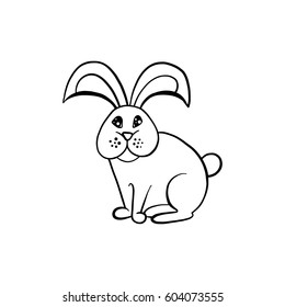 Rabbit, vector illustration, animal