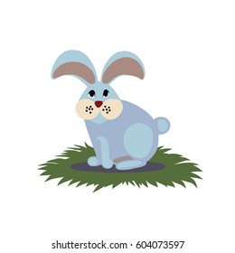 Rabbit, vector illustration, animal