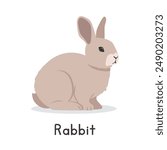 Rabbit vector illustration. Cute bunny rabbit cartoon clipart, animal in flat style. Farm animals concept, rural farming. Livestock animal small rabbit vector design isolated on white background