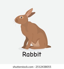 Rabbit Vector Illustration: Cute Spring Woodland Creature Design