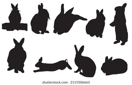 rabbit vector illustration design black and white collection
