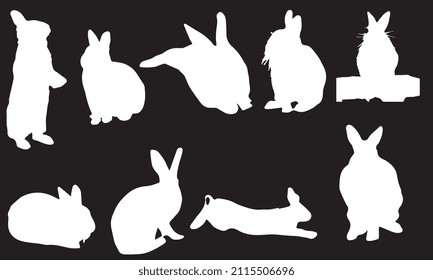 rabbit vector illustration design black and white collection