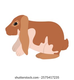 Rabbit Vector Illustration - English Lop