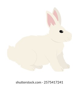 Rabbit Vector Illustration - Fluffy Angora