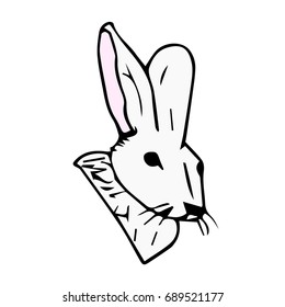 Rabbit vector illustration. Forest animal hare or rabbit. Hand drawing sketch black ink isolated on white background. Vector illustration. Vintage engraving style. Nature objects of Wildlife mammals.