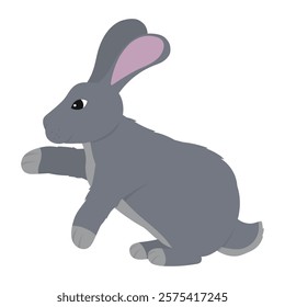 Rabbit Vector Illustration - Giant Chinchilla