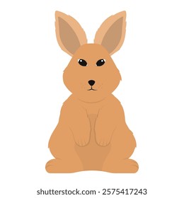 Rabbit Vector Illustration - Holland Lop