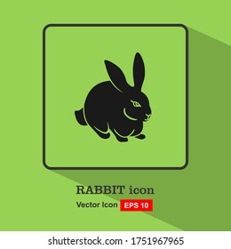 Rabbit. Vector illustration isolated on white background, flat design, cartoon style.