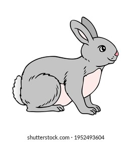 Rabbit Vector Illustration Isolated On White Stock Vector (Royalty Free ...