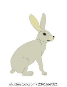 Rabbit vector illustration isolated on white background. Rodent animal symbol. Easter holiday symbol. Hare cute herbivore.