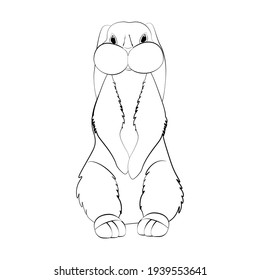 Rabbit vector illustration outline on the white background.