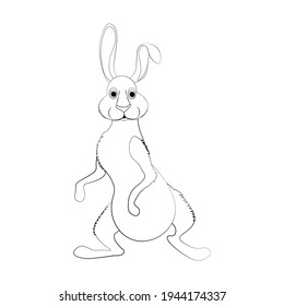 Rabbit vector illustration outline on the white background.