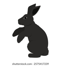 Rabbit Vector Illustration - Satin