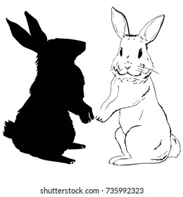 rabbit, vector, illustration, silhouette