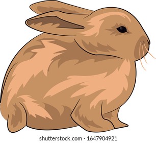 Rabbit vector for kids,perfect for education in schools.