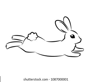 Rabbit Vector On White Background , Use for Web, line , icon or logo, cartoon bunny.