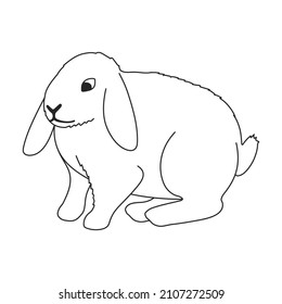 Rabbit vector outline icon. Vector illustration bunny on white background. Isolated outline illustration icon of rabbit.