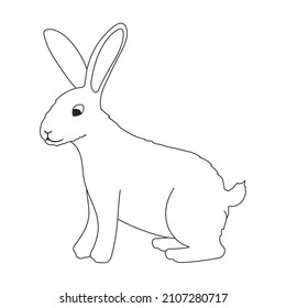 Rabbit vector outline icon. Vector illustration bunny on white background. Isolated outline illustration icon of rabbit.