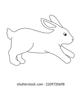 Rabbit vector outline icon. Vector illustration bunny on white background. Isolated outline illustration icon of rabbit.