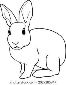 Rabbit vector outline isolated white color