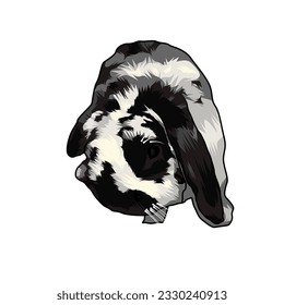 Rabbit vector is very suitable for use as learning material or other things