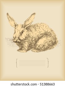 rabbit- vintage drawing -vector