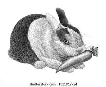 Rabbit vintage scratchboard illustration isolated on white background