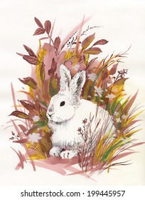Rabbit watercolor vector