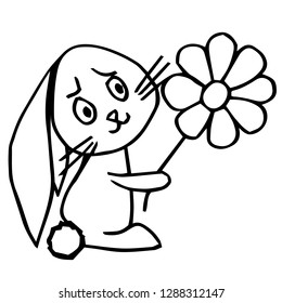 rabbit watermelon love flowers vector image