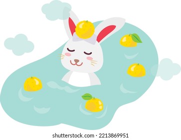 A rabbit which takes citron hot water in the winter solstice.