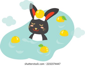 A rabbit which takes citron hot water in the winter solstice.