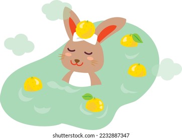 A rabbit which takes citron hot water in the winter solstice.