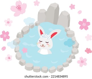 A rabbit which takes outdoor bath in spring.