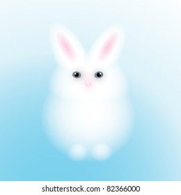 Rabbit / White adorable bunny