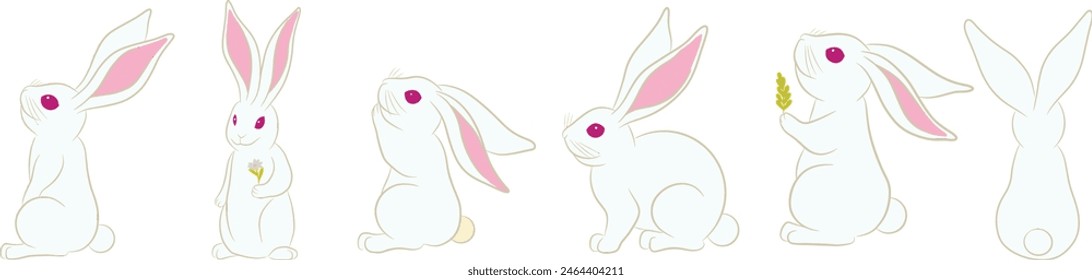 Rabbit white set isolated on white