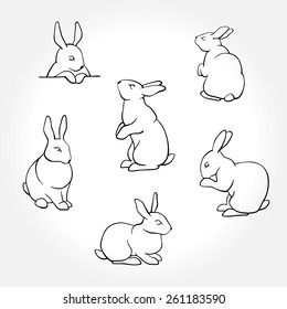 Rabbit white silhouettes