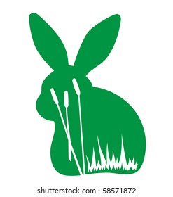 Rabbit in the wild