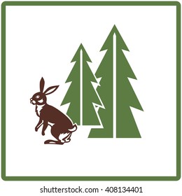 Rabbit -wild animal