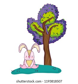 Rabbit wild animal cartoon