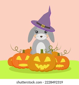 a rabbit in a witchs hat sits surrounded by pumpkins